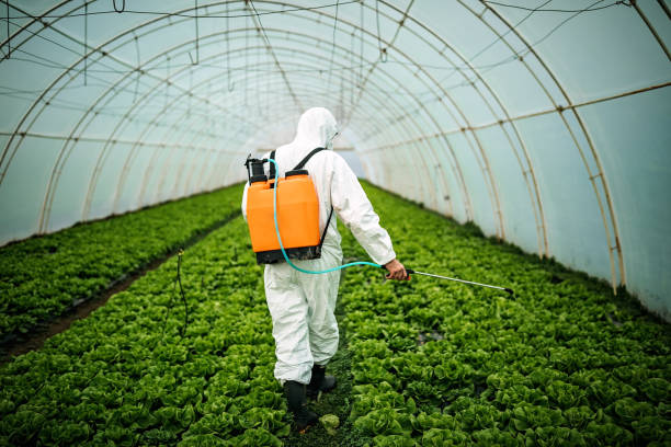 Best Affordable Pest Control Services  in Wolf Creek, UT