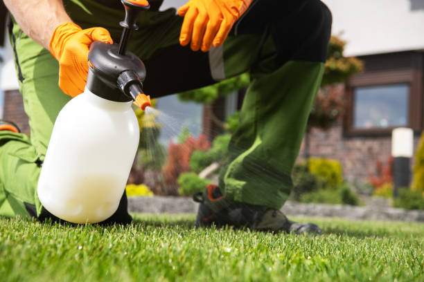 Best Termite Control Services  in Wolf Creek, UT