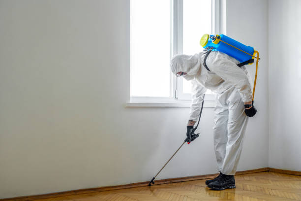 Trusted Wolf Creek, UT Pest Control Experts