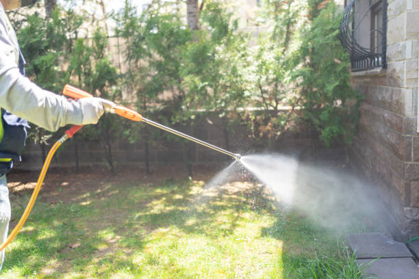 Best Exterminator Services  in Wolf Creek, UT