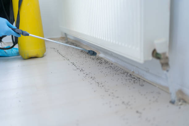 Best Best Pest Control Companies  in Wolf Creek, UT