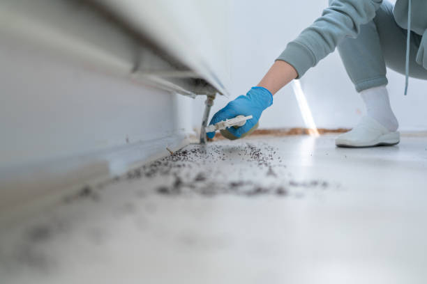 Best Wildlife Control Services  in Wolf Creek, UT
